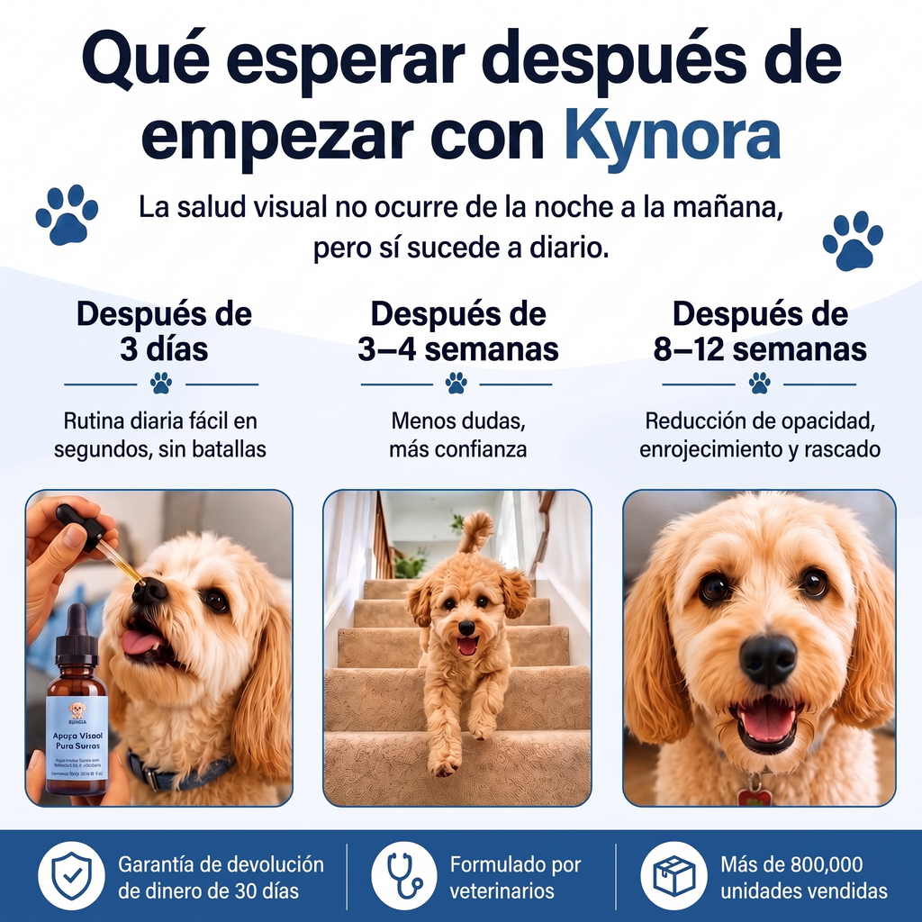 Melunara® Apoyo Visual Para Perros